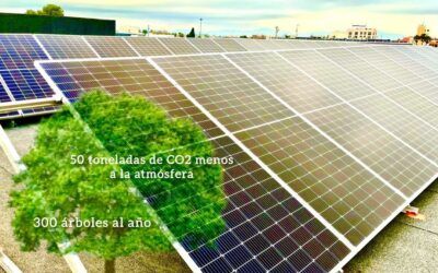 Planta fotovoltaica – cuidado del medioambiente